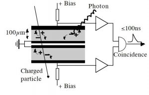 Low-cost predicted beam loss counting - Principles